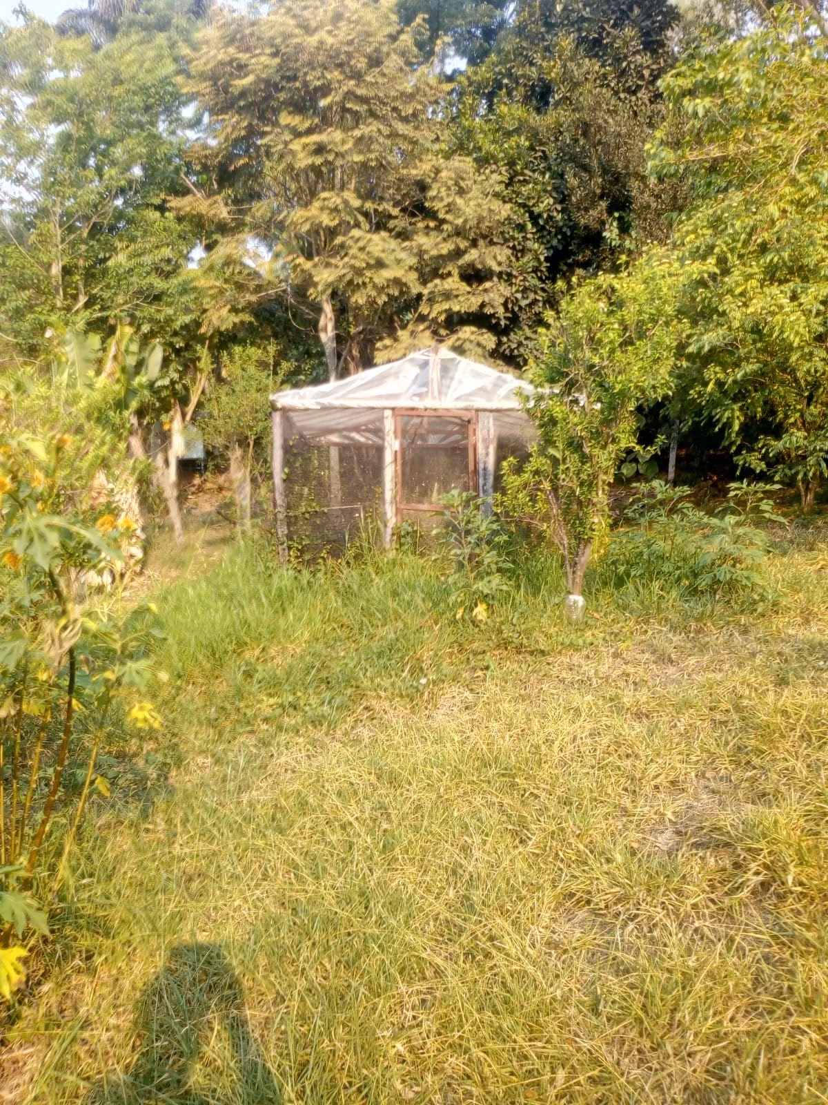 Sítio de 4 ha em Amparo, SP