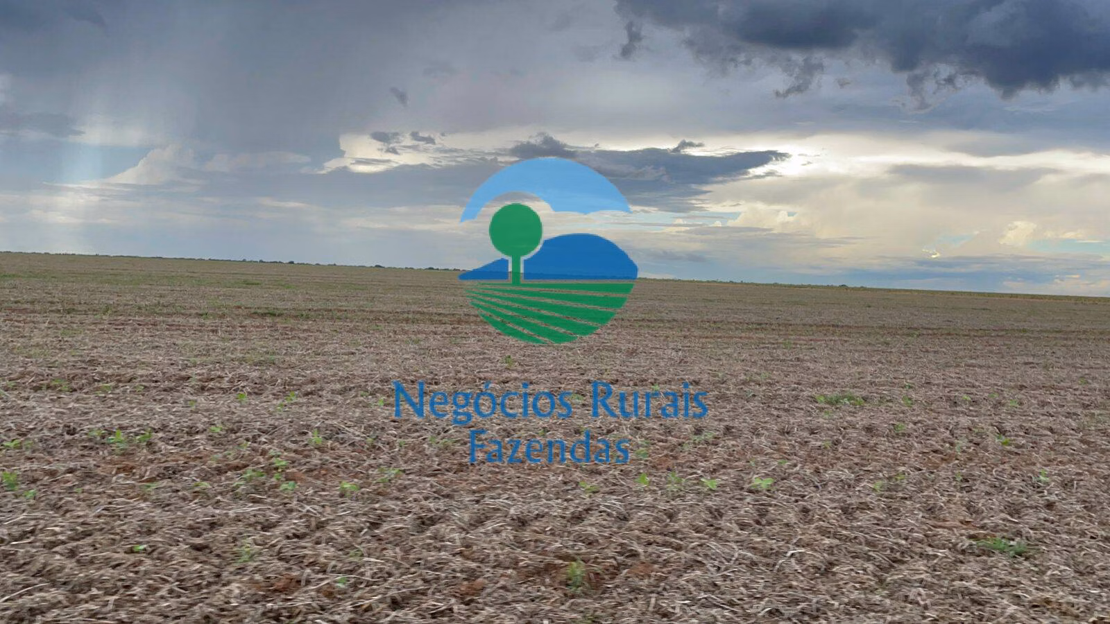 Fazenda de 10.930 ha em Uruaçu, GO