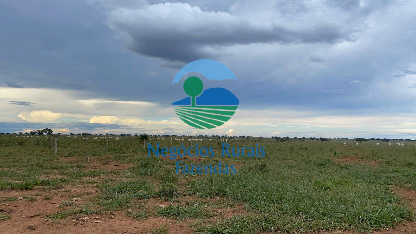 Fazenda de 10.930 ha em Uruaçu, GO