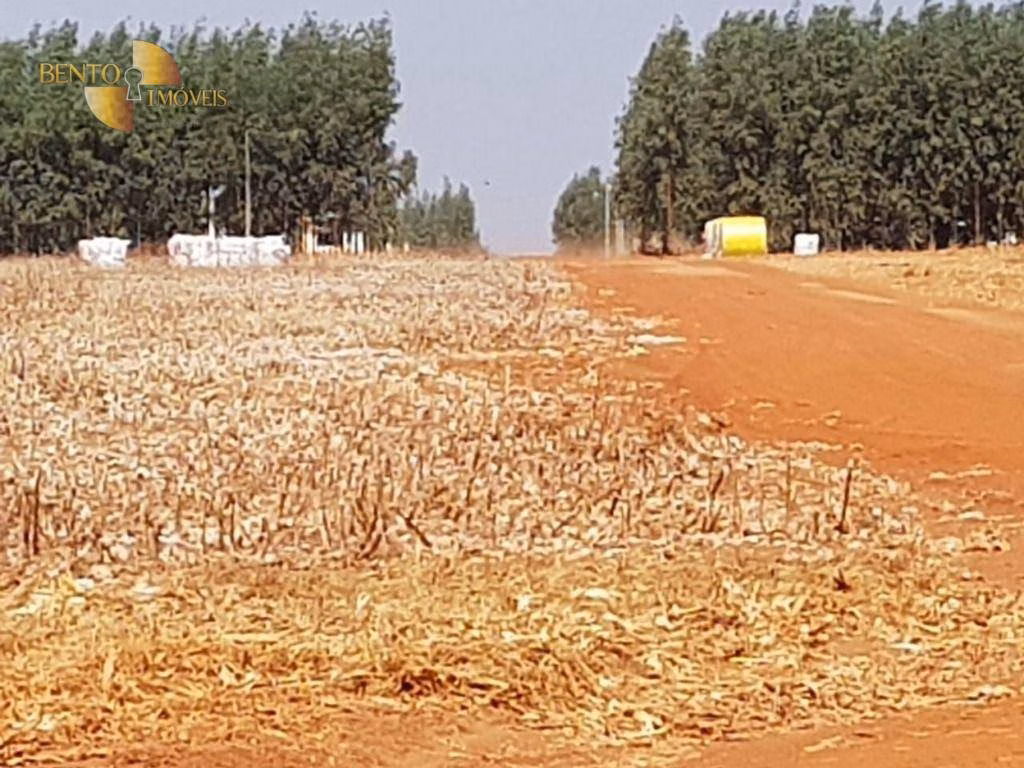 Farm of 41.019 acres in Água Boa, MT, Brazil