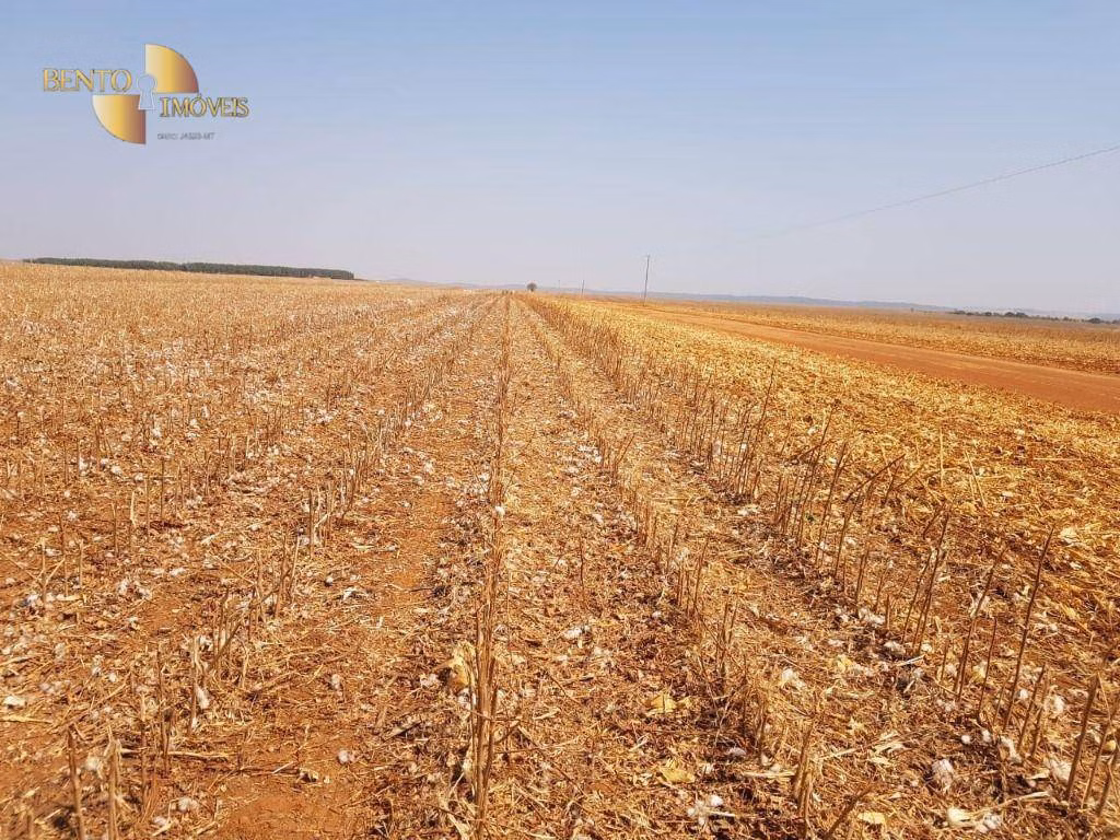 Fazenda de 16.600 ha em Água Boa, MT