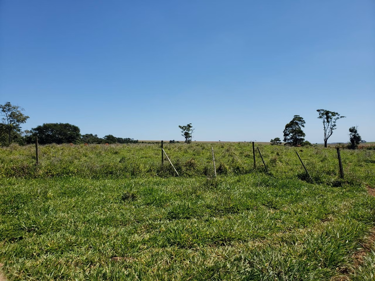 Small farm of 138 acres in Tatuí, SP, Brazil