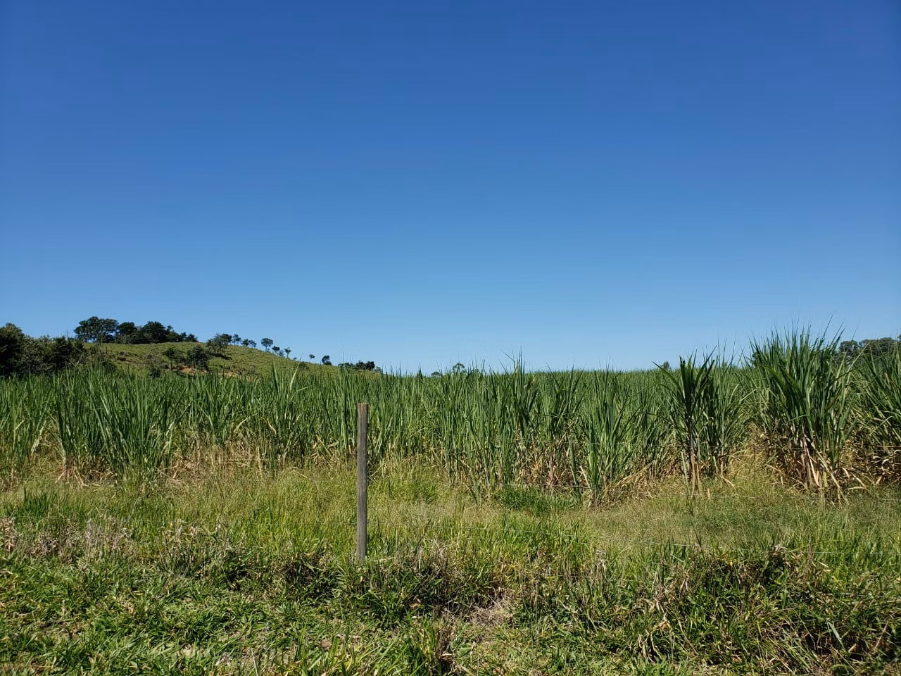 Small farm of 138 acres in Tatuí, SP, Brazil
