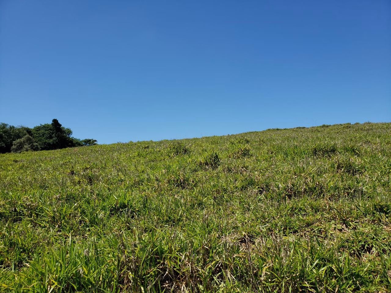 Small farm of 138 acres in Tatuí, SP, Brazil