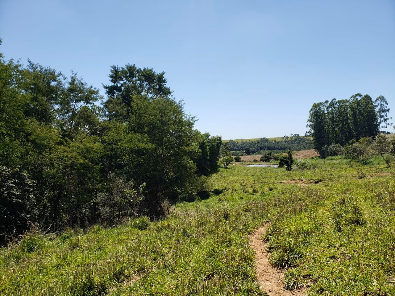 Small farm of 138 acres in Tatuí, SP, Brazil
