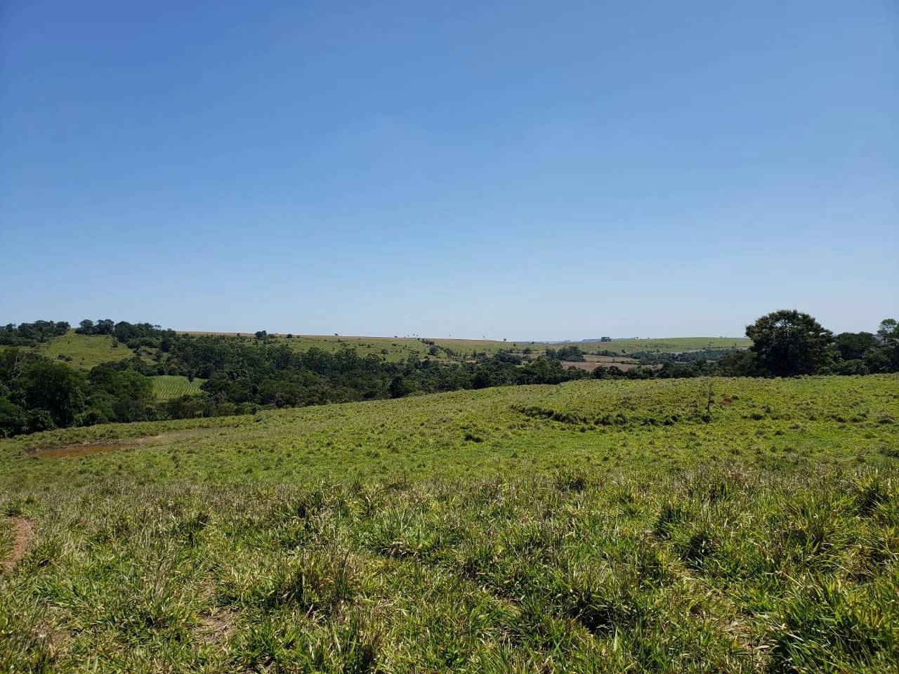 Small farm of 138 acres in Tatuí, SP, Brazil
