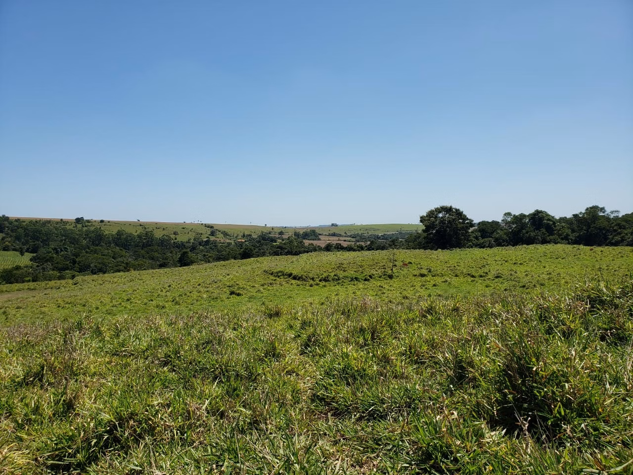 Small farm of 138 acres in Tatuí, SP, Brazil