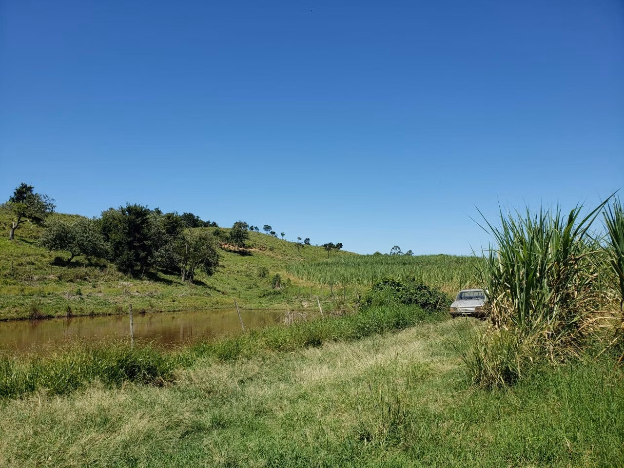 Small farm of 138 acres in Tatuí, SP, Brazil