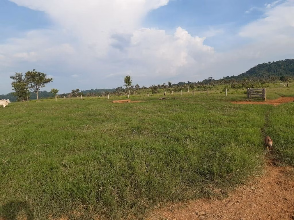 Fazenda de 1.020 ha em Juruena, MT