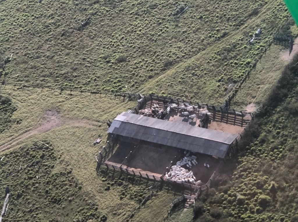Fazenda de 1.020 ha em Juruena, MT