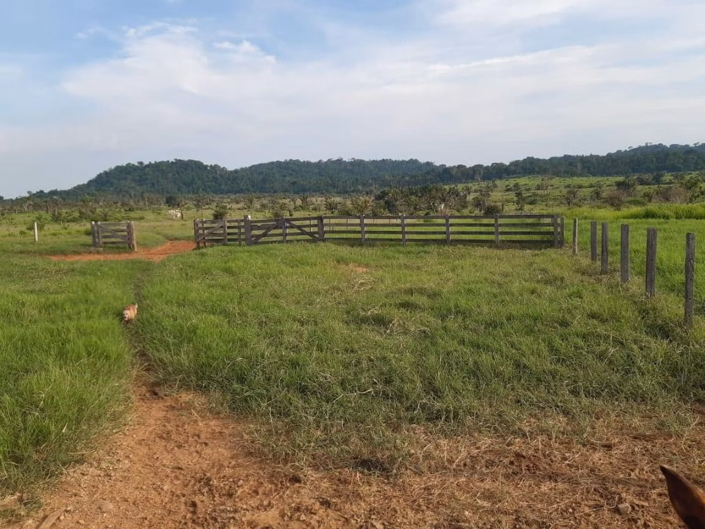 Fazenda de 1.020 ha em Juruena, MT