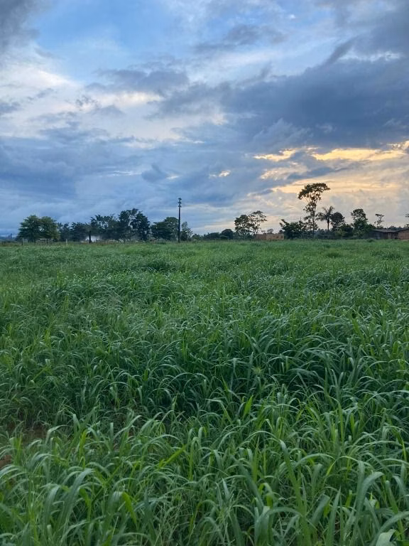 Fazenda de 1.020 ha em Juruena, MT