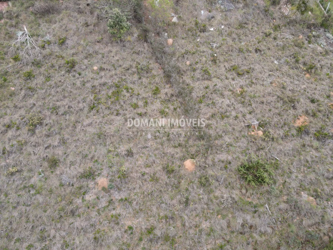 Plot of 1,100 m² in Campos do Jordão, SP, Brazil