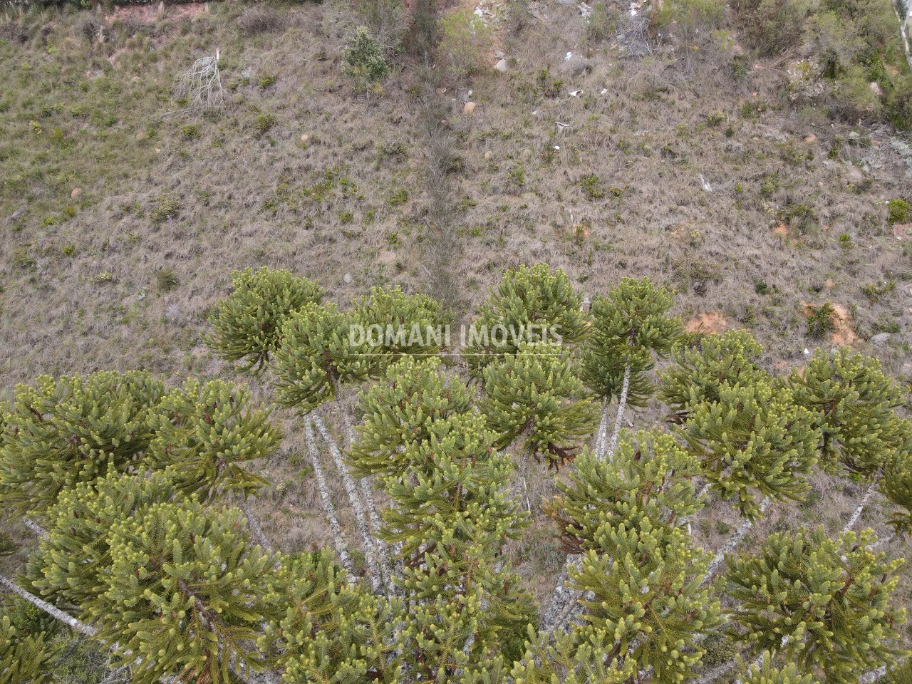 Plot of 1,100 m² in Campos do Jordão, SP, Brazil