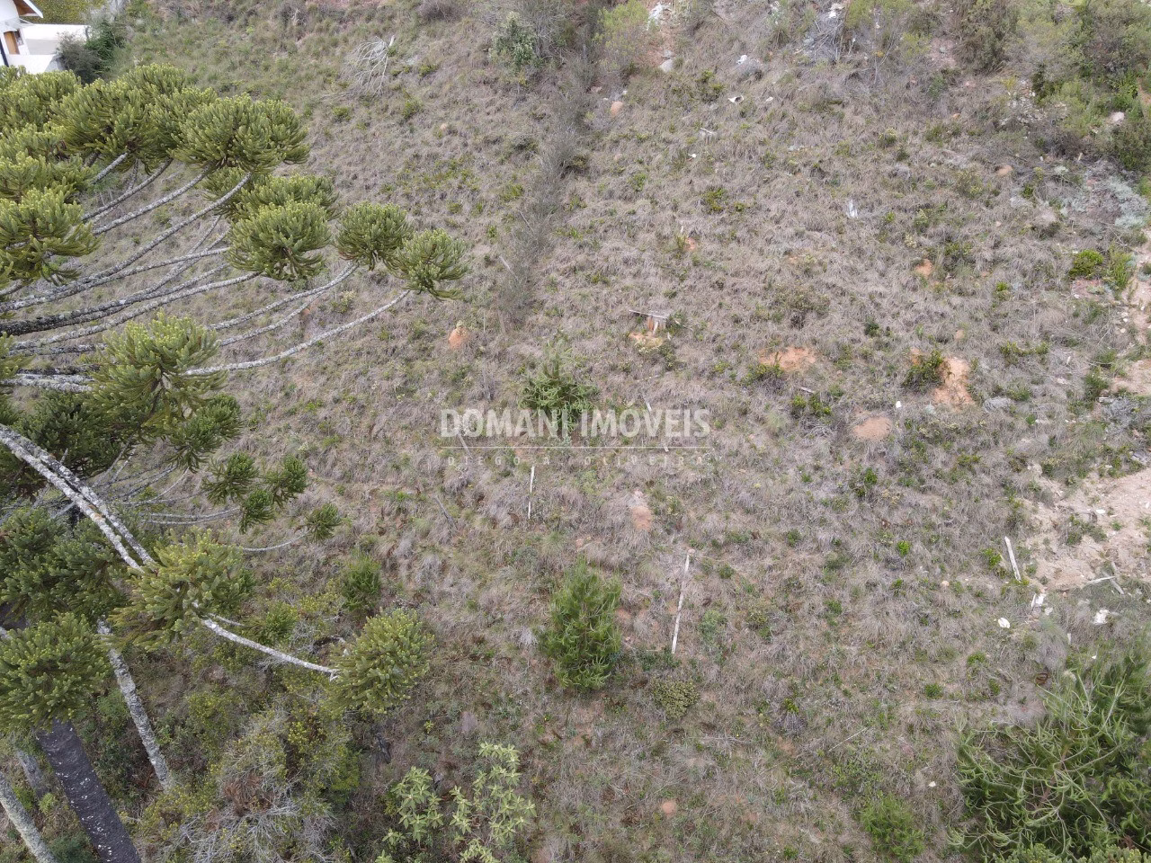 Plot of 1,100 m² in Campos do Jordão, SP, Brazil