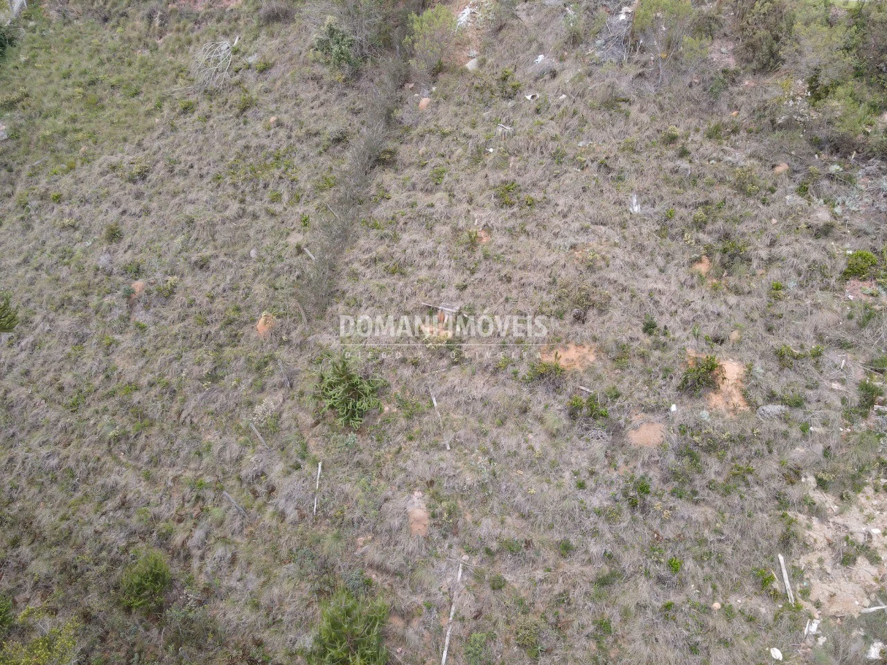 Plot of 1,100 m² in Campos do Jordão, SP, Brazil