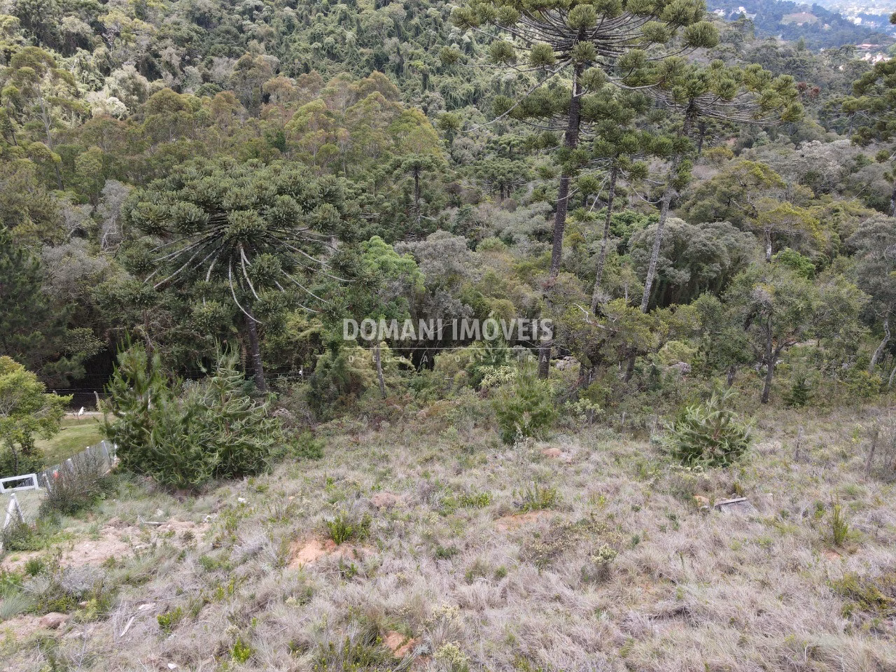 Plot of 1,100 m² in Campos do Jordão, SP, Brazil
