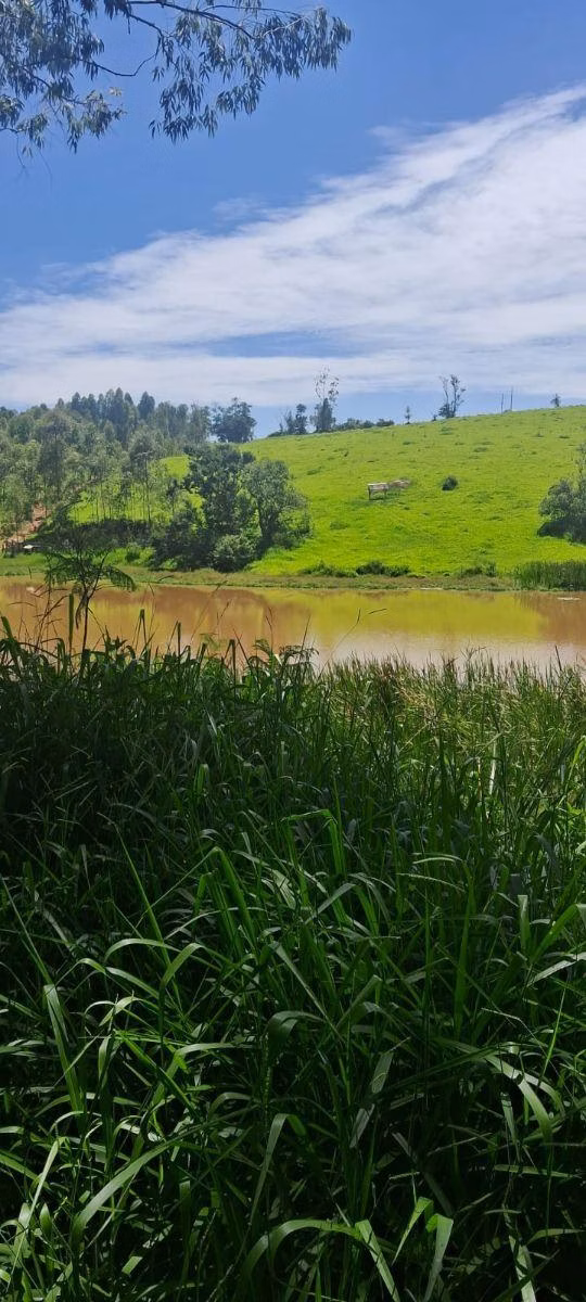Kleiner Bauernhof zum Verkauf von 46 ha in Ibiúna, SP