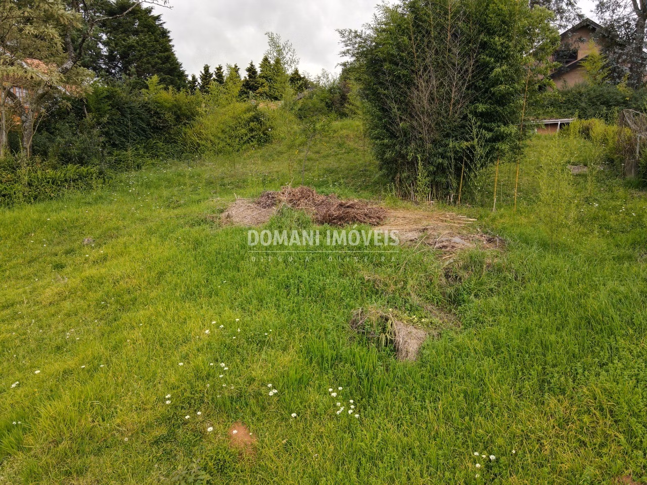 Plot of 1,170 m² in Campos do Jordão, SP, Brazil