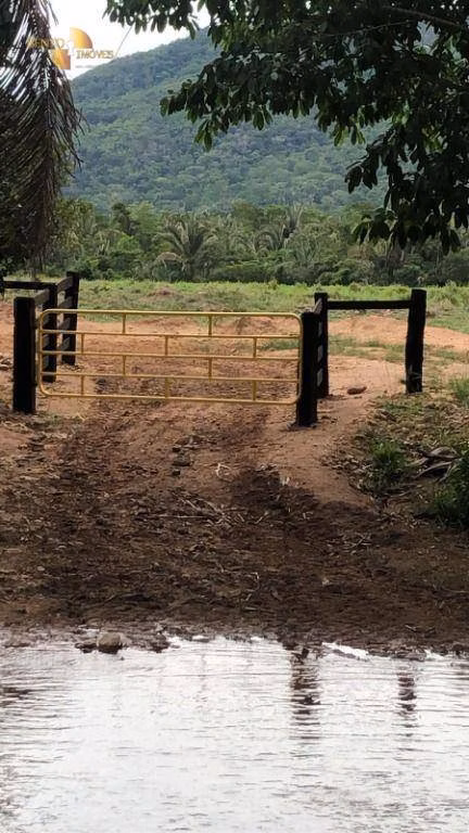 Fazenda de 1.058 ha em Santo Antônio de Leverger, MT