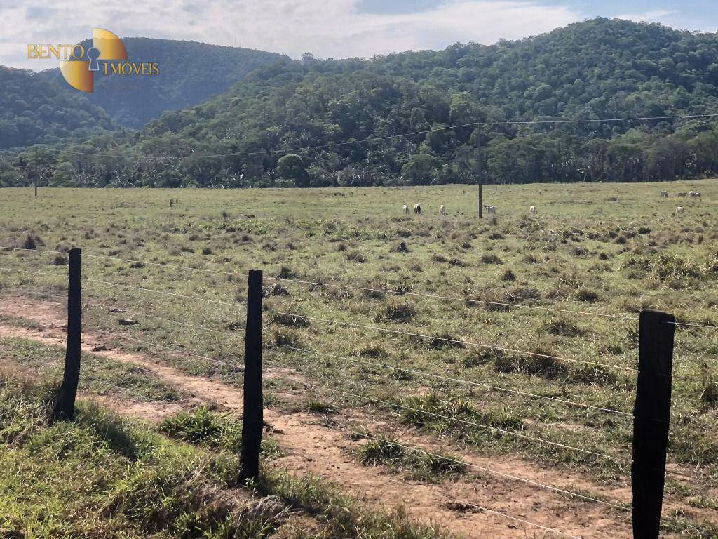 Fazenda de 1.058 ha em Santo Antônio de Leverger, MT