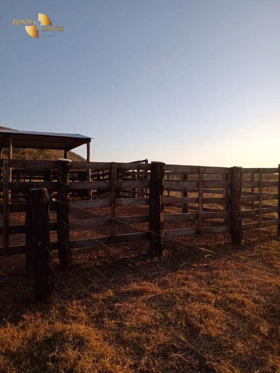 Fazenda de 1.058 ha em Santo Antônio de Leverger, MT
