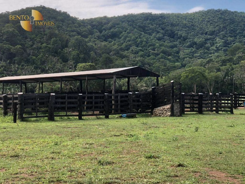 Fazenda de 1.058 ha em Santo Antônio de Leverger, MT