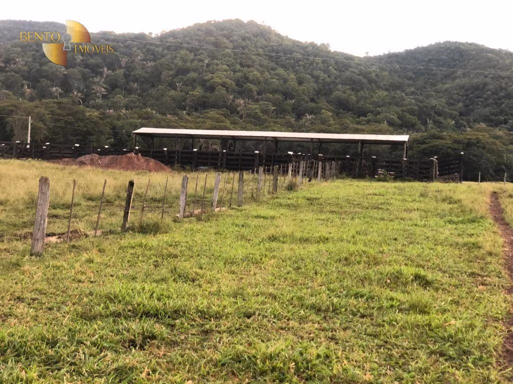 Fazenda de 1.058 ha em Santo Antônio de Leverger, MT