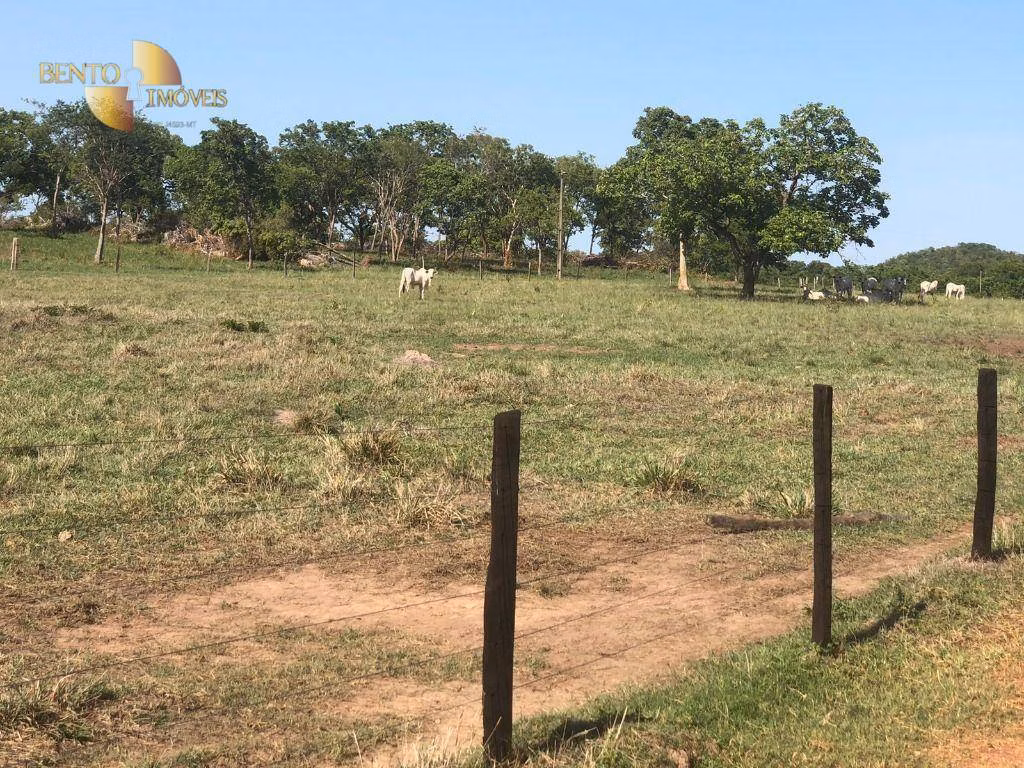 Fazenda de 1.058 ha em Santo Antônio de Leverger, MT
