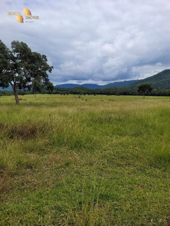 Fazenda de 1.058 ha em Santo Antônio de Leverger, MT