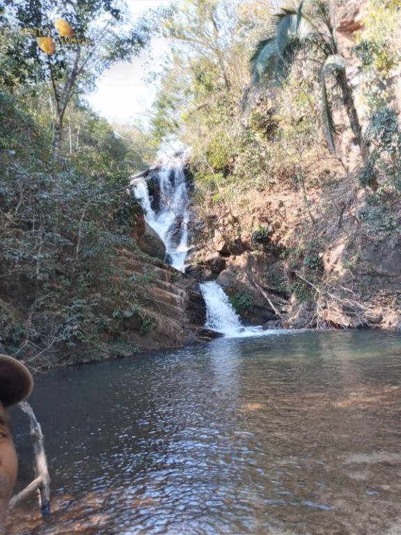 Fazenda de 1.058 ha em Santo Antônio de Leverger, MT