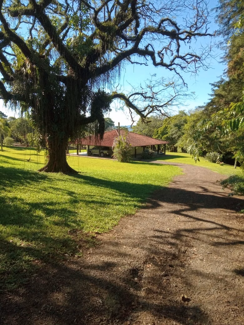 Fazenda de 363 ha em Ortigueira, PR