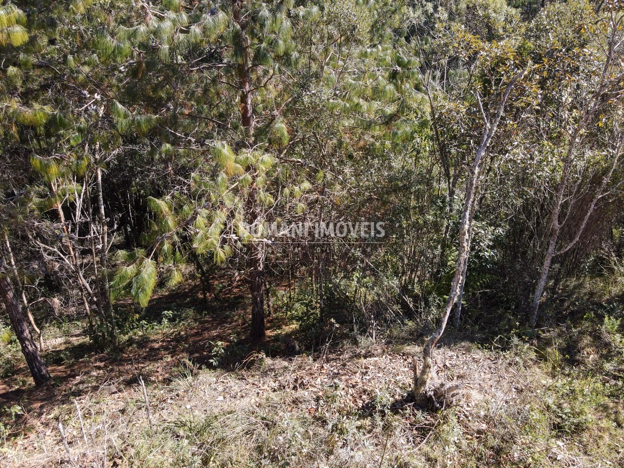 Plot of 1,050 m² in Campos do Jordão, SP, Brazil