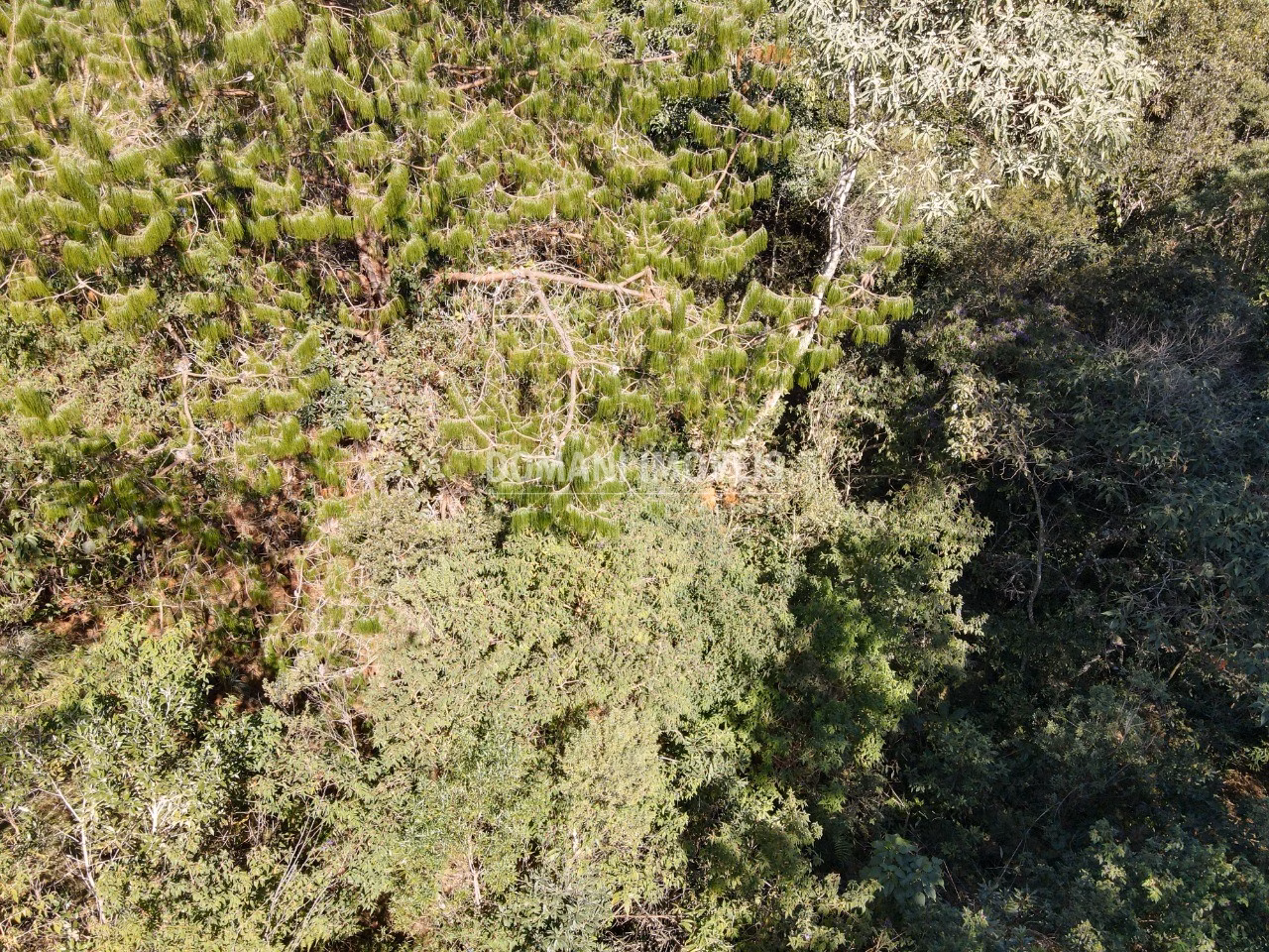 Plot of 1,050 m² in Campos do Jordão, SP, Brazil