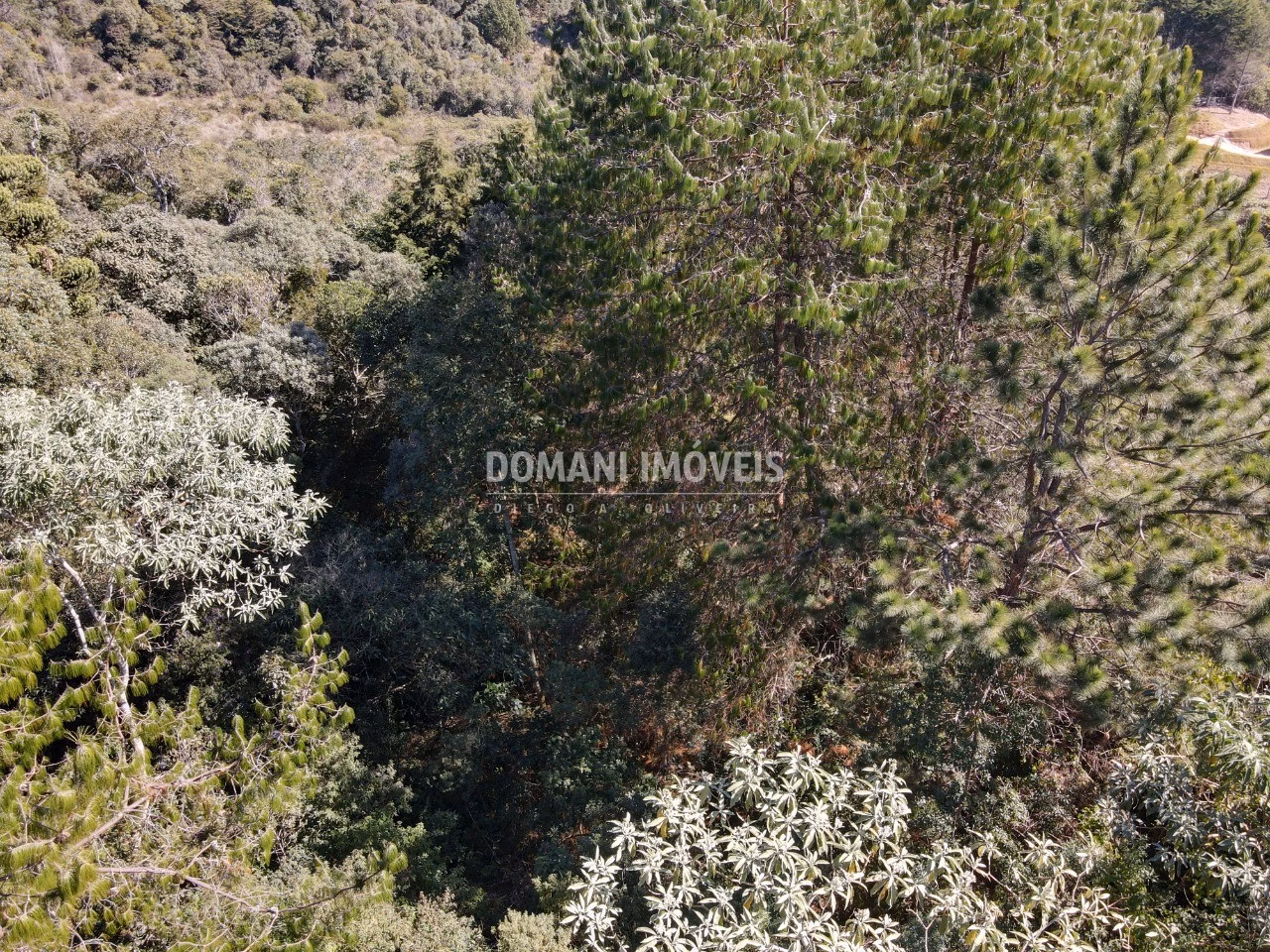 Plot of 1,050 m² in Campos do Jordão, SP, Brazil