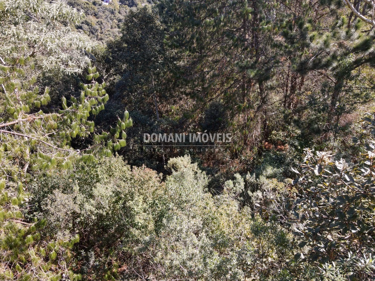 Plot of 1,050 m² in Campos do Jordão, SP, Brazil