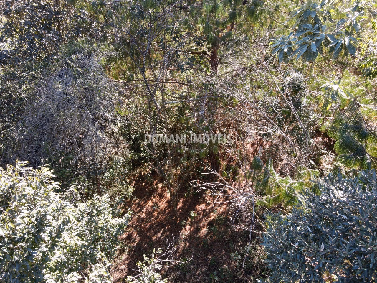 Plot of 1,050 m² in Campos do Jordão, SP, Brazil