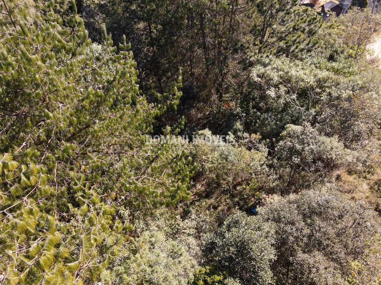 Plot of 1,050 m² in Campos do Jordão, SP, Brazil