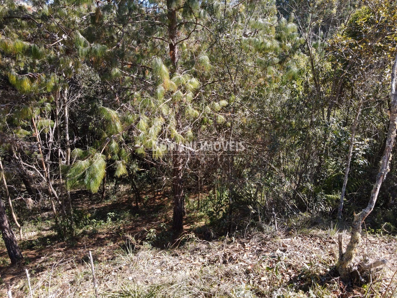 Plot of 1,050 m² in Campos do Jordão, SP, Brazil