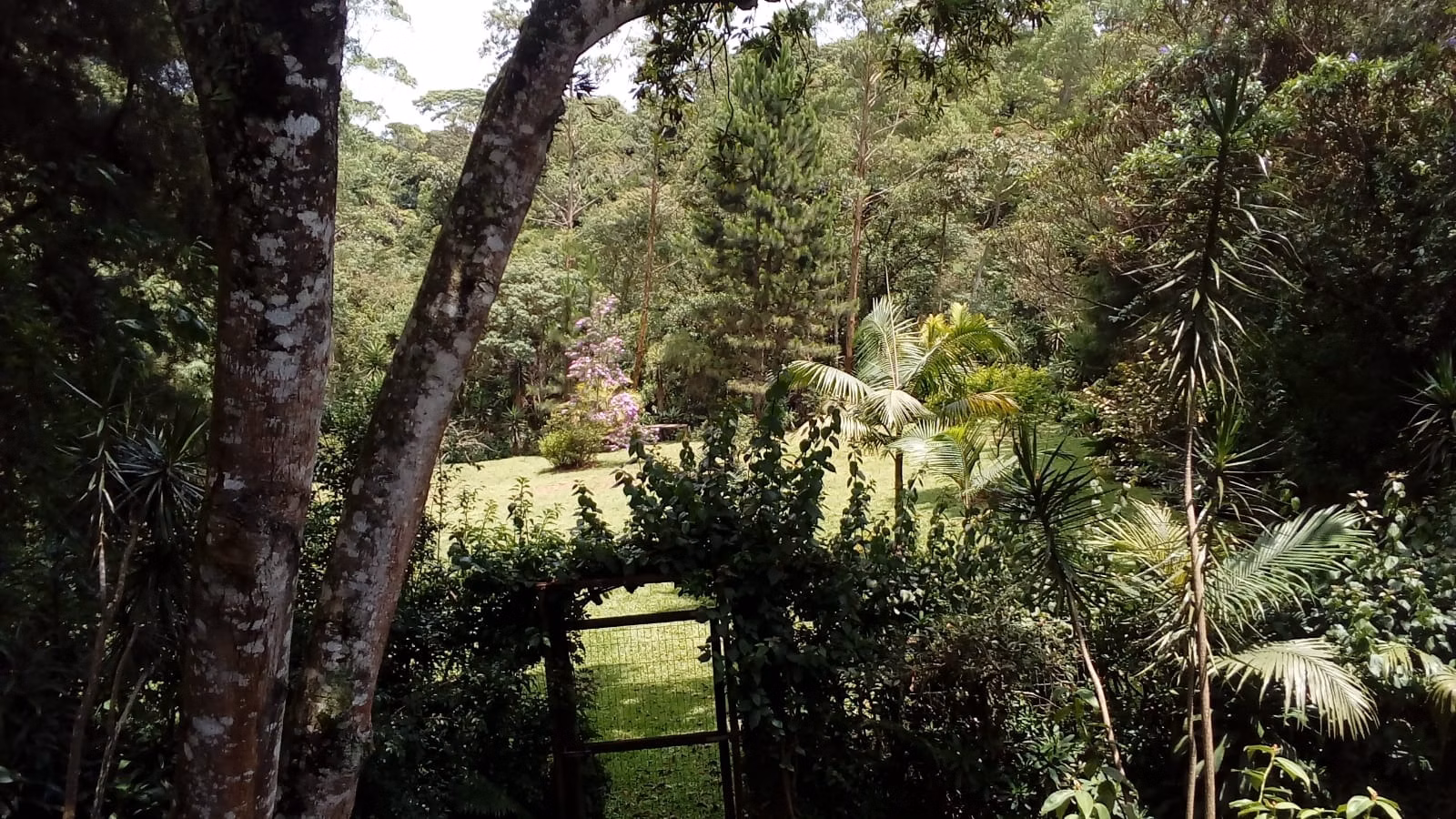 Plot of 1,800 m² in Mairiporã, SP, Brazil