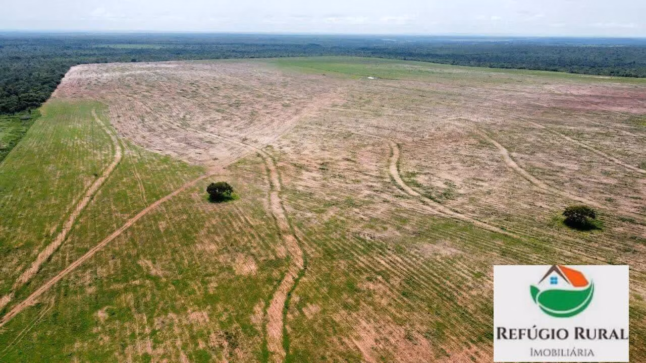 Farm of 6,781 acres in Rio dos Bois, TO, Brazil