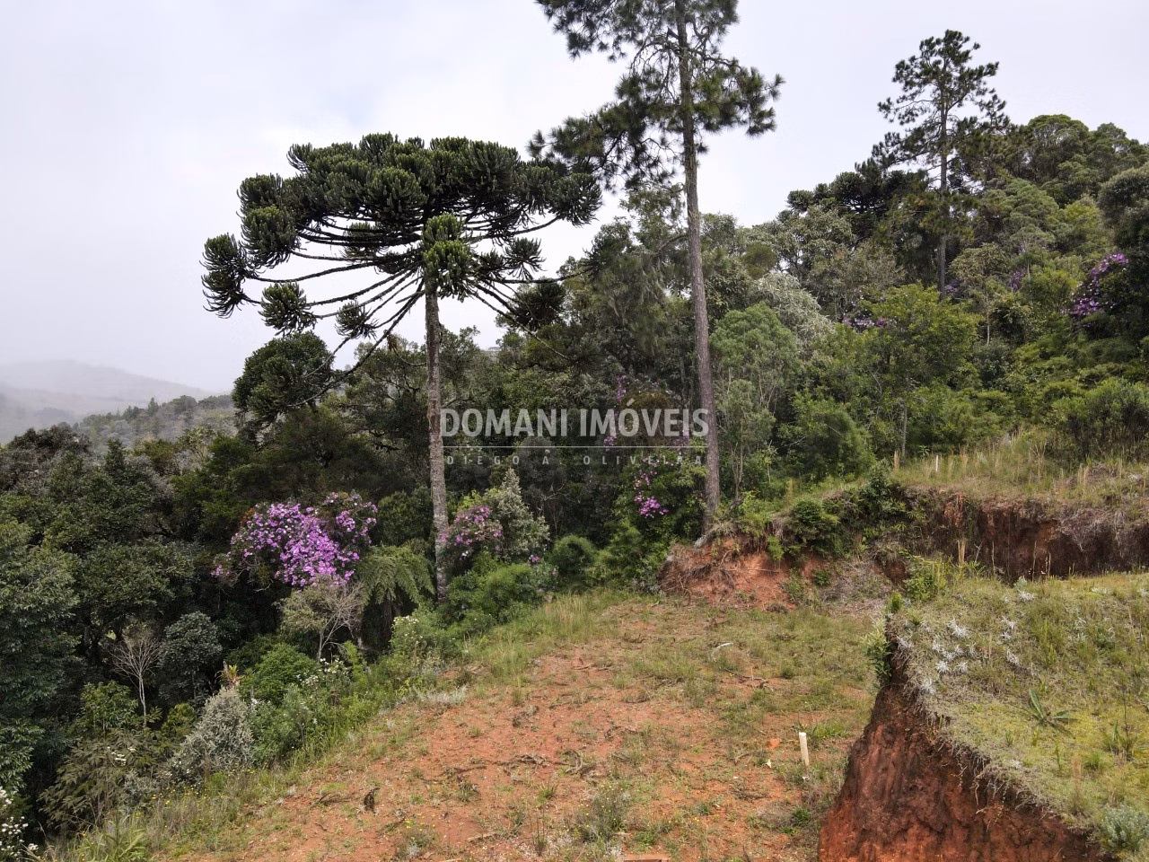 Plot of 380 m² in Campos do Jordão, SP, Brazil