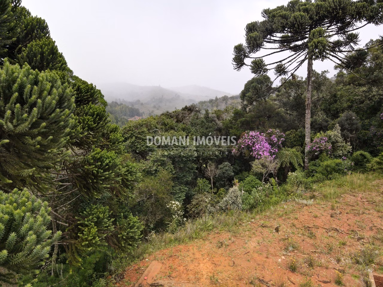 Plot of 380 m² in Campos do Jordão, SP, Brazil