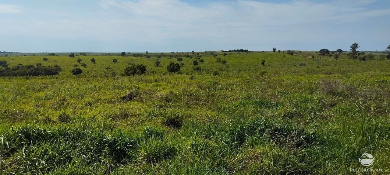 Fazenda de 840 ha em Sonora, MS