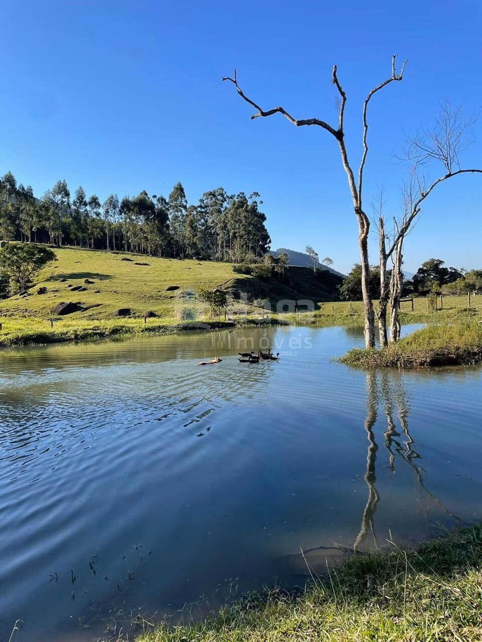 Country home of 37 acres in Tijucas, SC, Brazil