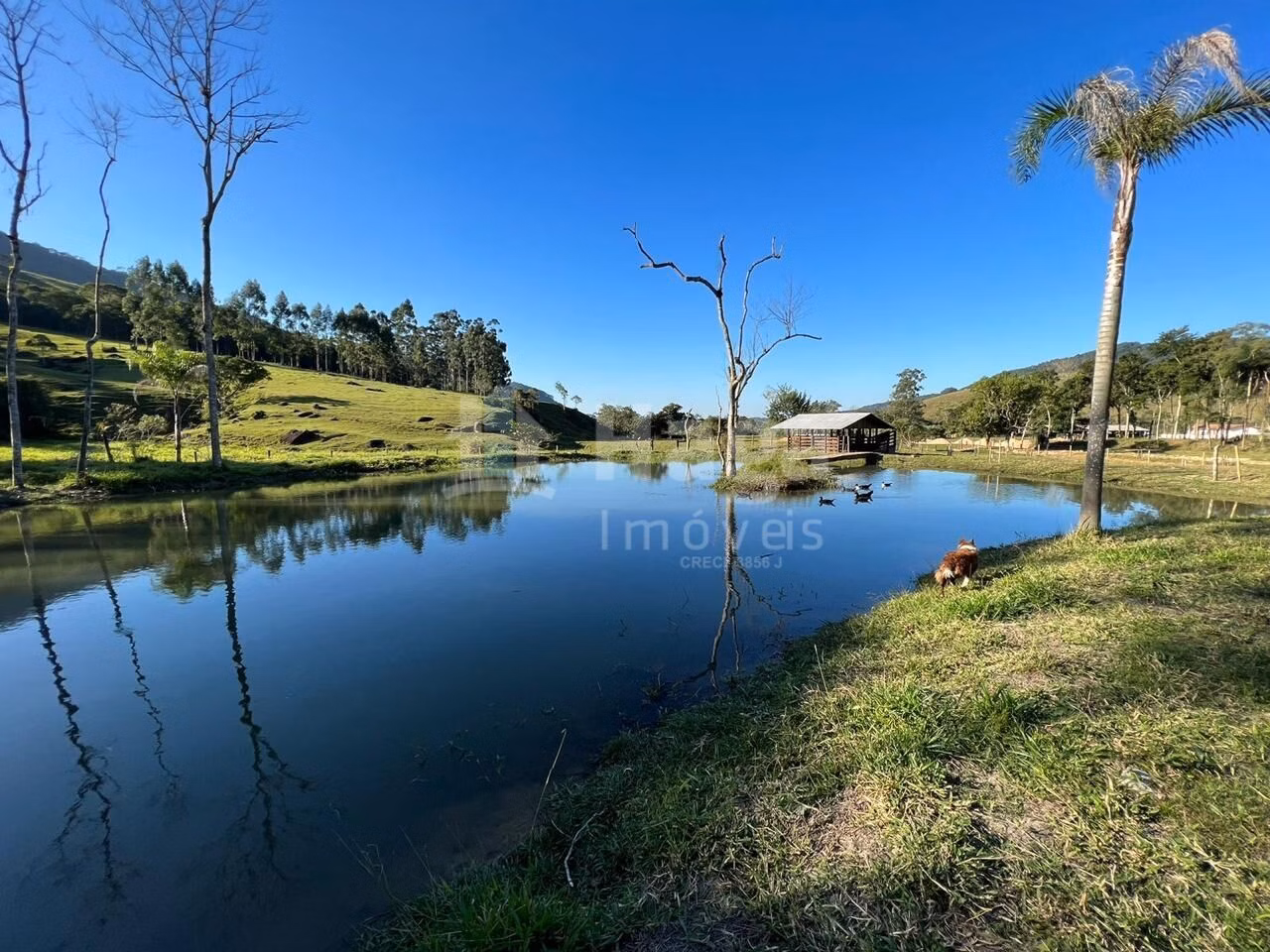 Country home of 37 acres in Tijucas, SC, Brazil