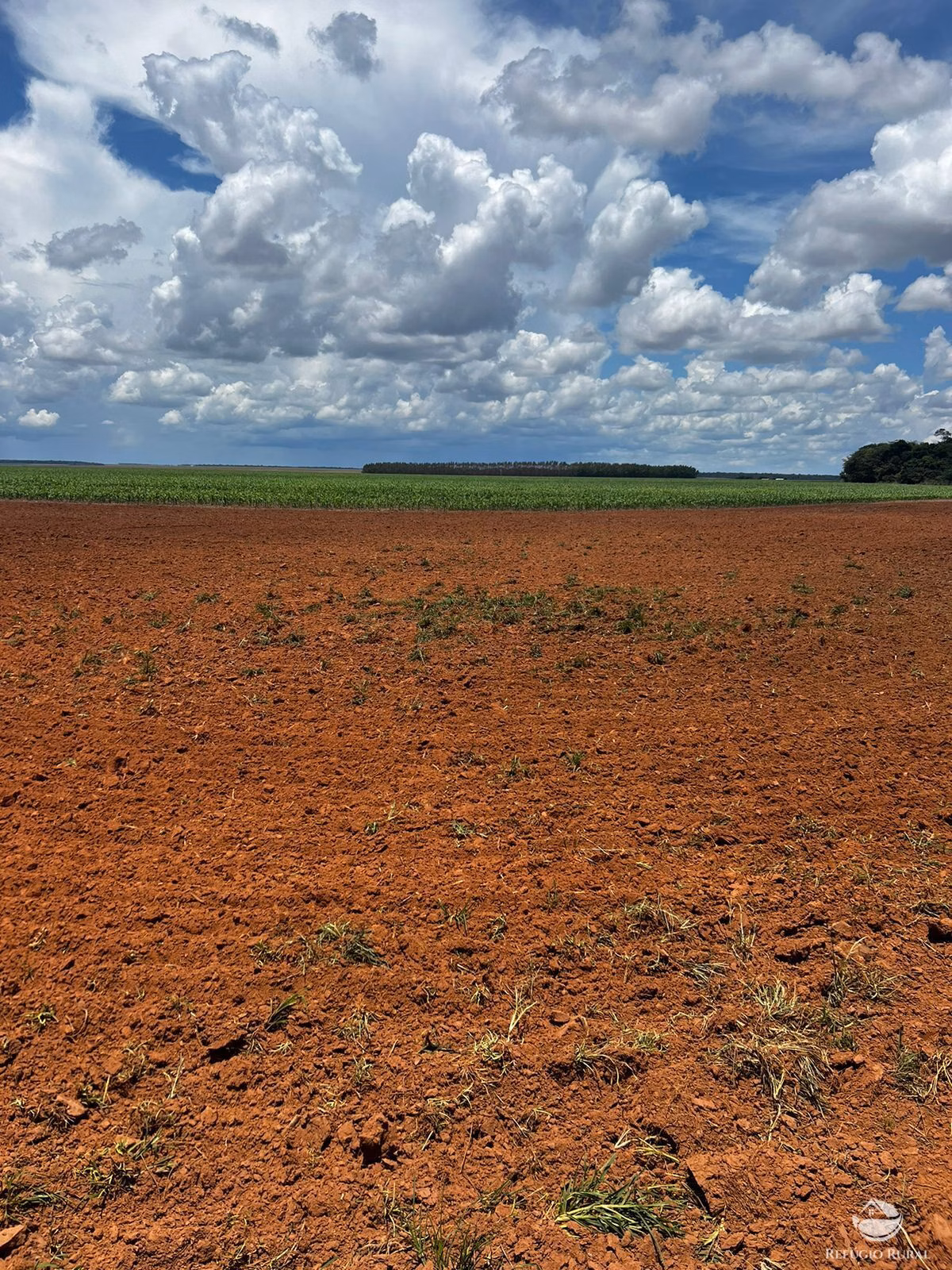 Fazenda de 5.200 ha em Canarana, MT