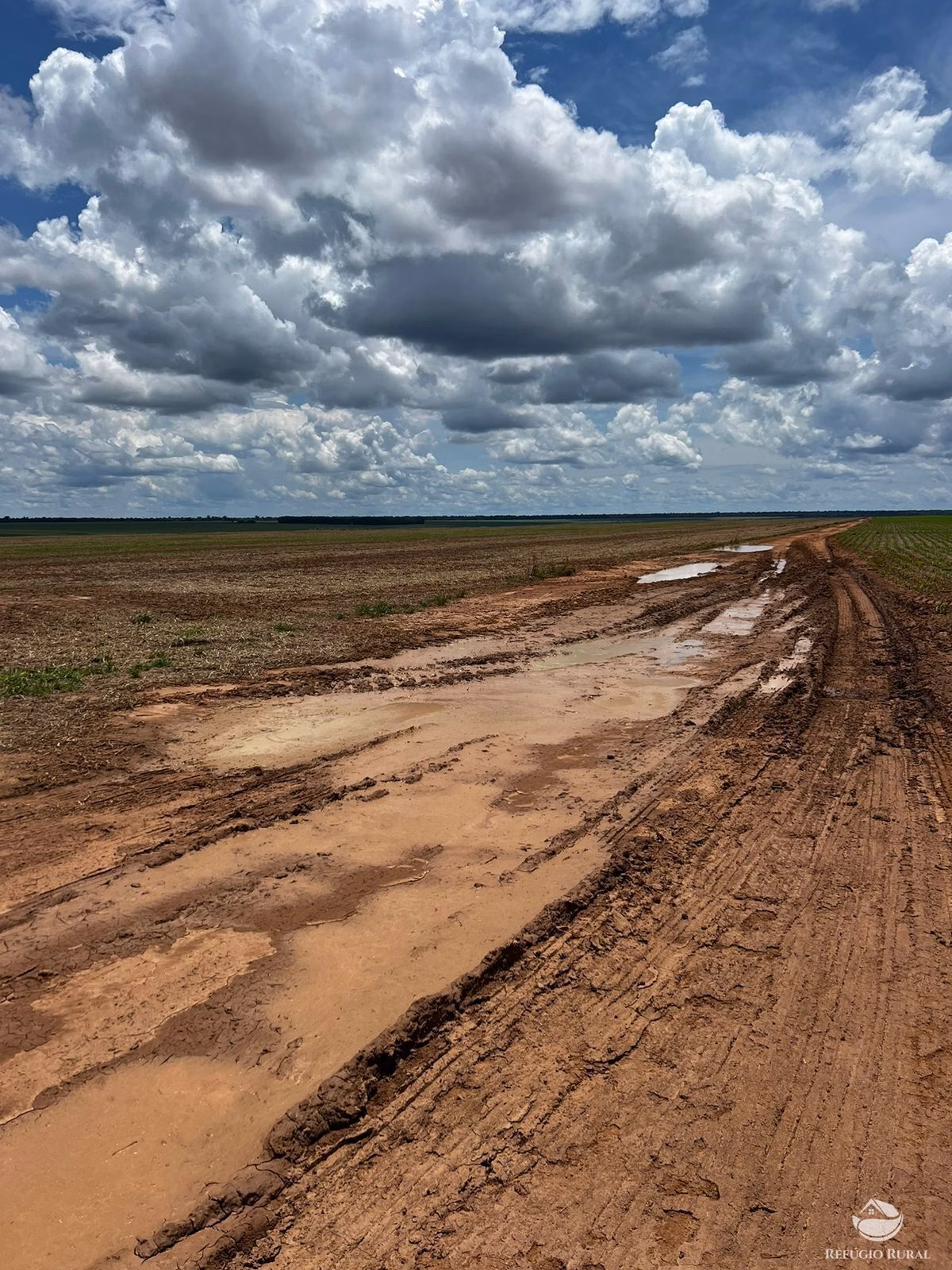 Fazenda de 5.200 ha em Canarana, MT