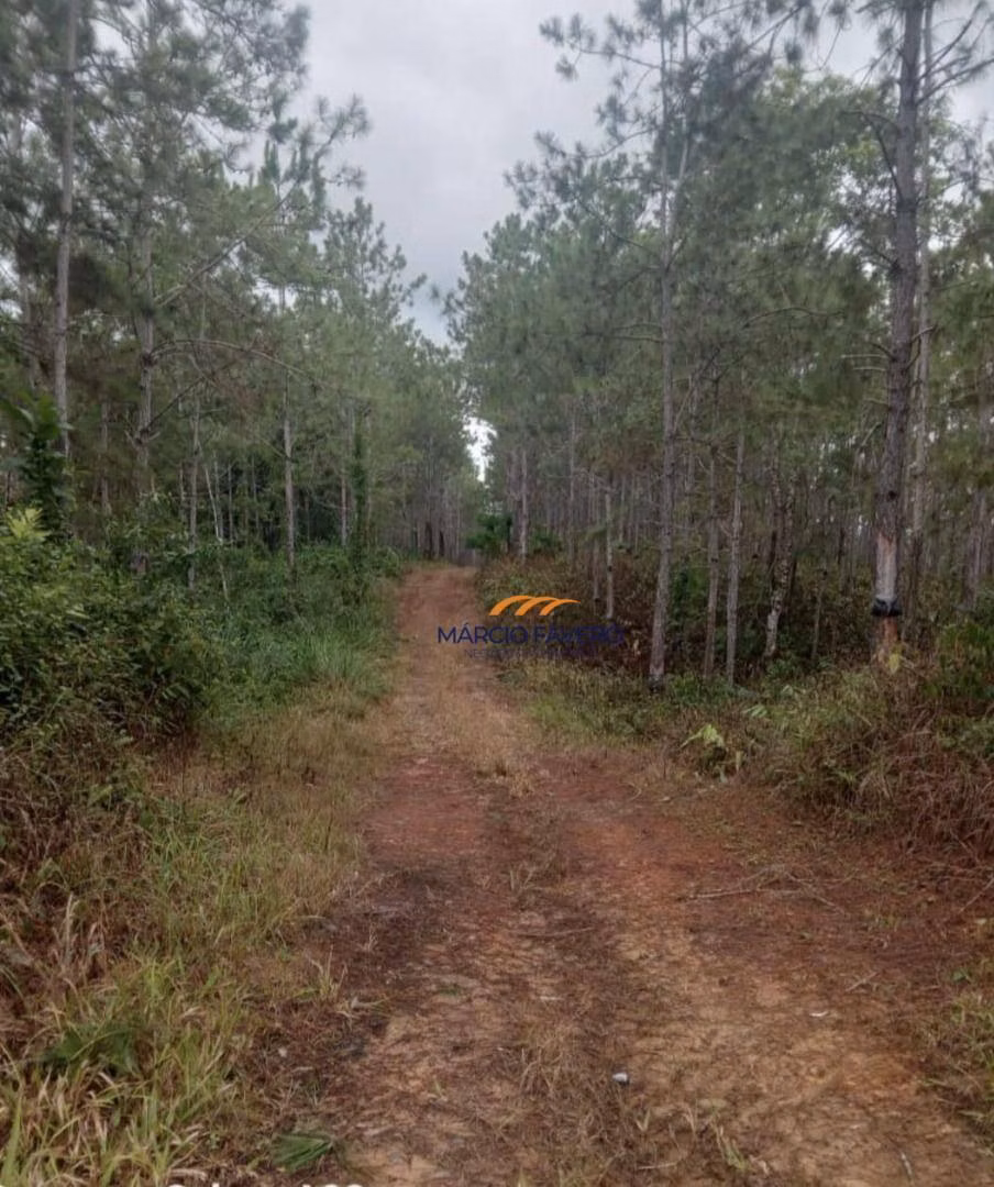 Fazenda à venda de 726 ha em Pariquera-Açu, SP