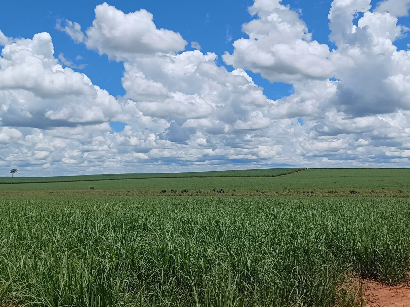Fazenda de 663 ha em Pacaembu, SP
